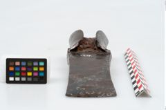 Foto von Eisenlappenbeil (NHMW-PRAE-002275)